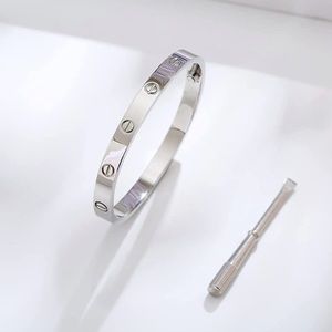 Generic Screw Bracelet with Screwdriver in Silver